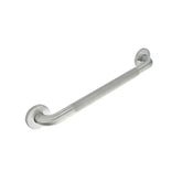 42 In. Peened Satin Stainless Steel Grab Bar